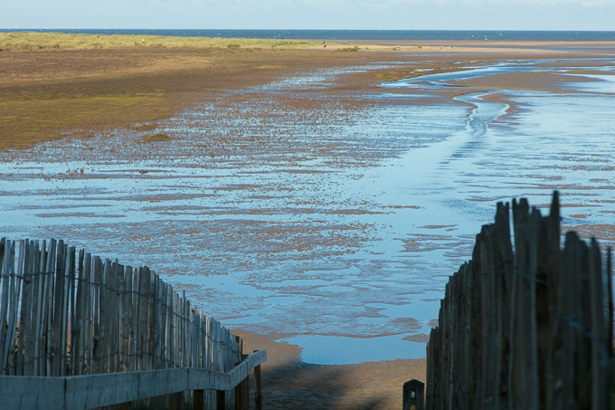 Norfolk (031)